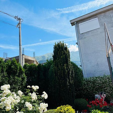 Green Oasis Apartment Kotor Exterior photo