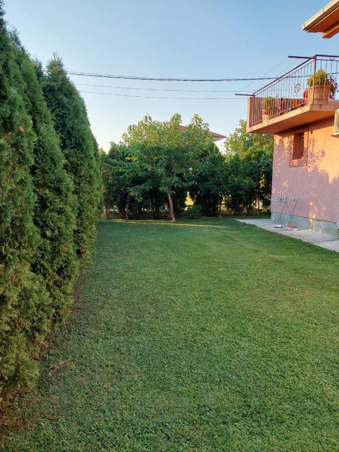Green Oasis Apartment Kotor Exterior photo