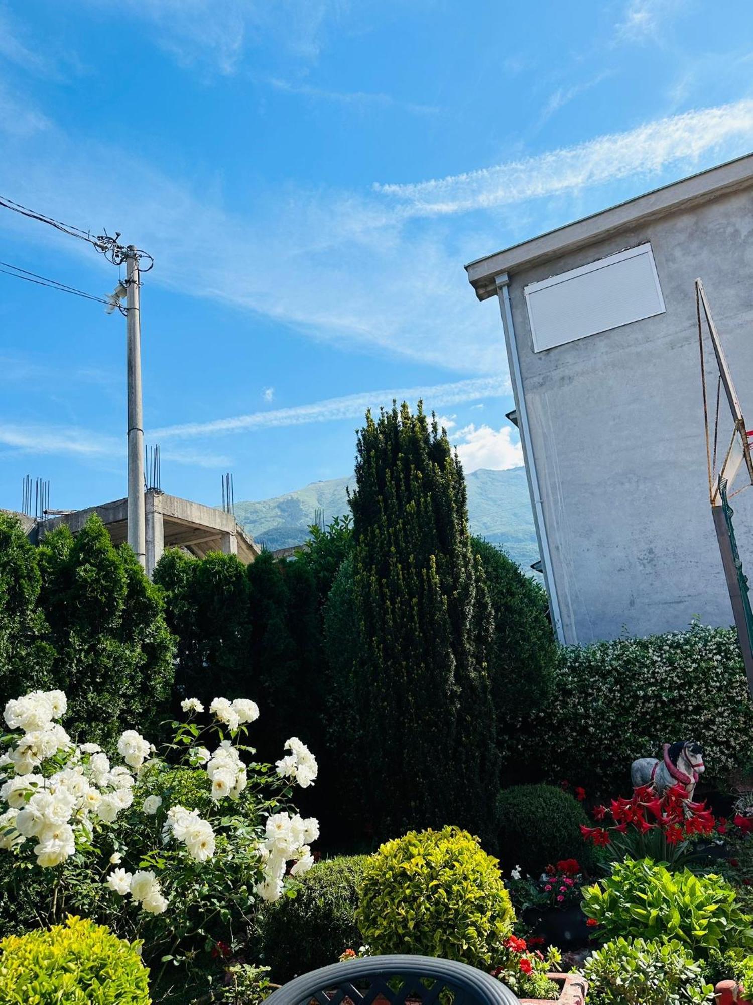 Green Oasis Apartment Kotor Exterior photo